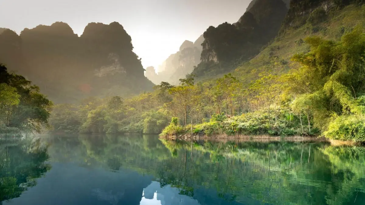 节能高端
